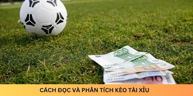 cách đọc và phân tích kèo tài xỉu