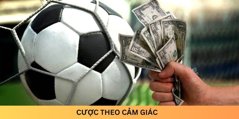 Có theo cảm giác