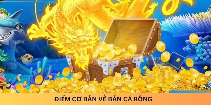 Điểm cơ bản về bắn cá Rồng