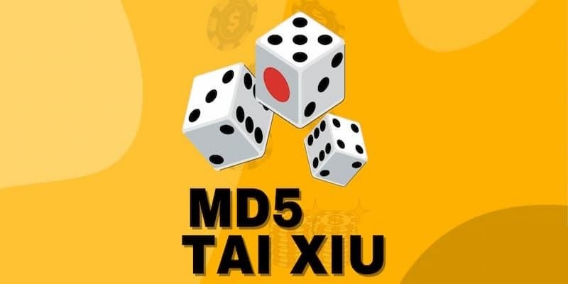 Mách bạn bí quyết chơi tài xỉu md5 luôn thắng từ cao thủ