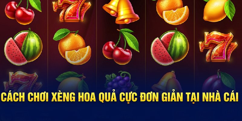 Chia sẻ nguyên tắc chơi Xèng hoa quả cực dễ cho newbie