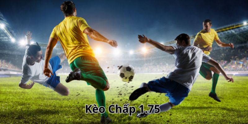Cao thủ làm gì để săn thưởng khủng từ kèo chấp 1.75?