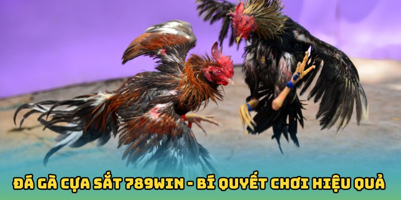 Đá Gà Cựa Sắt