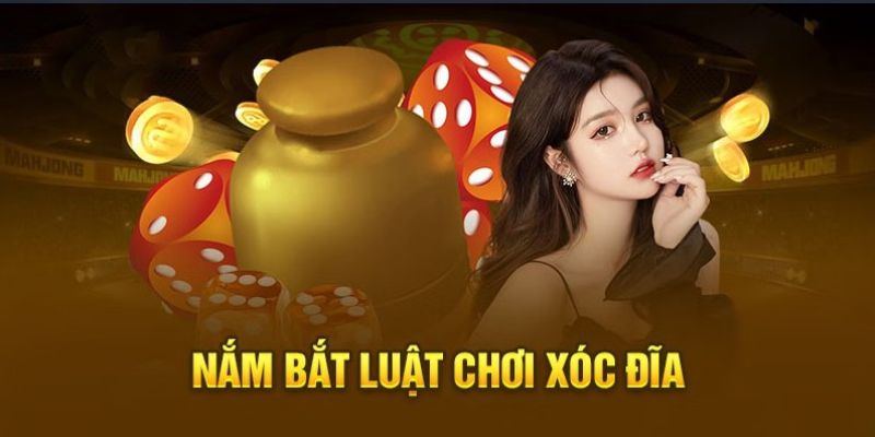 Bí quyết cược xóc đĩa mới nhất cho tân binh
