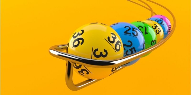 Bingo Là Gì? Cách Chơi Bingo Đầy Đủ Cho Người Mới Bắt Đầu