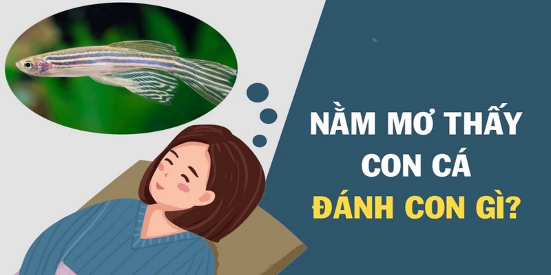 Nằm mơ thấy cá những con nào để vào bờ?
