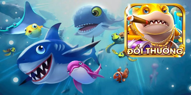 Giới thiệu thông tin khái quát về bắn cá đổi thưởng 2026 