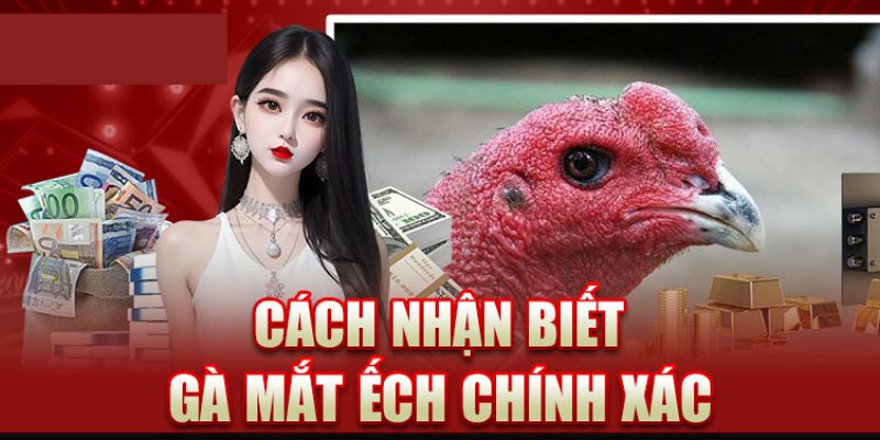 Tổng hợp các kiểu mắt gà chọi phổ biến nhất