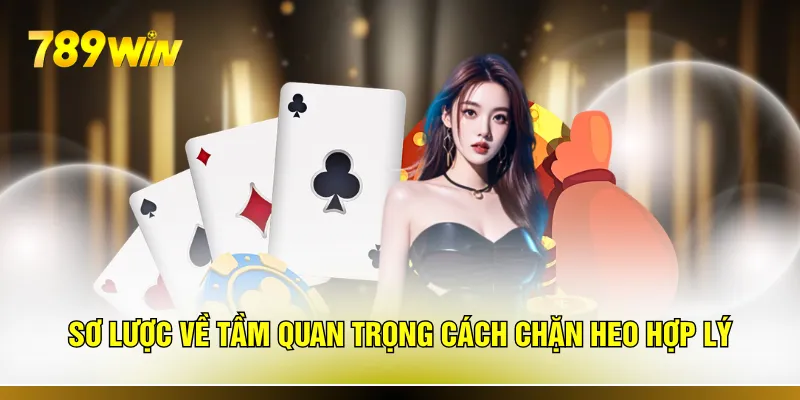 Sơ lược về tầm quan trọng cách chặn heo hợp lý