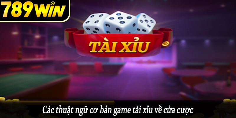 Các thuật ngữ cơ bản game tài xỉu về cửa cược