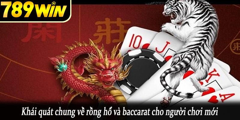 Khái quát chung về rồng hổ và baccarat cho người chơi mới