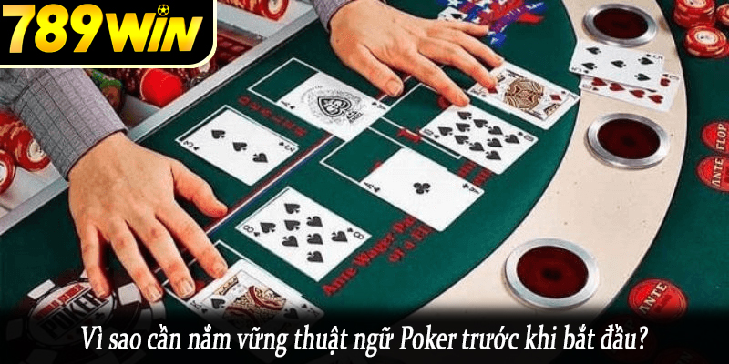 Vì sao cần nắm vững thuật ngữ Poker trước khi bắt đầu?