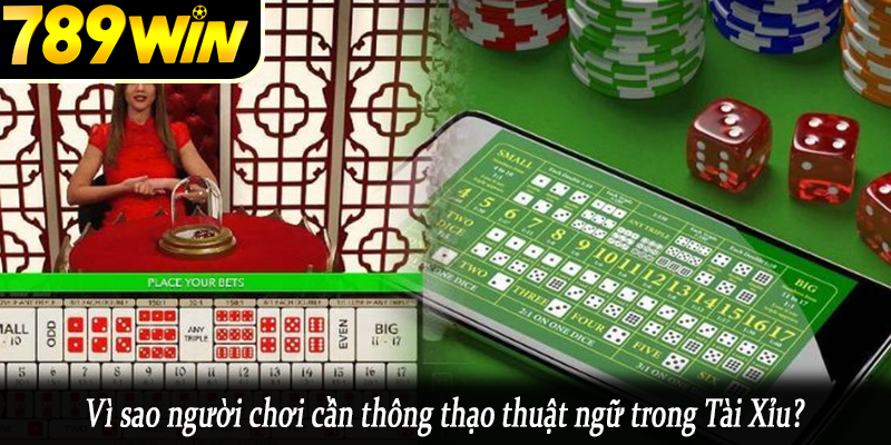 Vì sao người chơi cần thông thạo thuật ngữ trong Tài Xỉu?