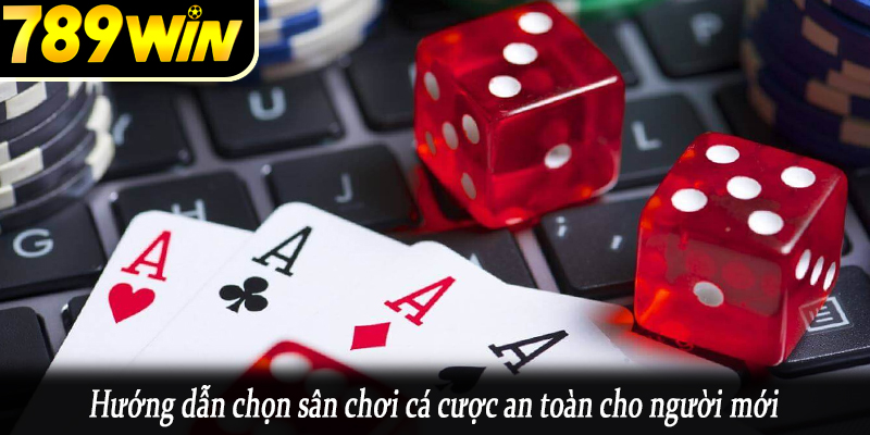 Hướng dẫn chọn sân chơi cá cược an toàn cho người mới