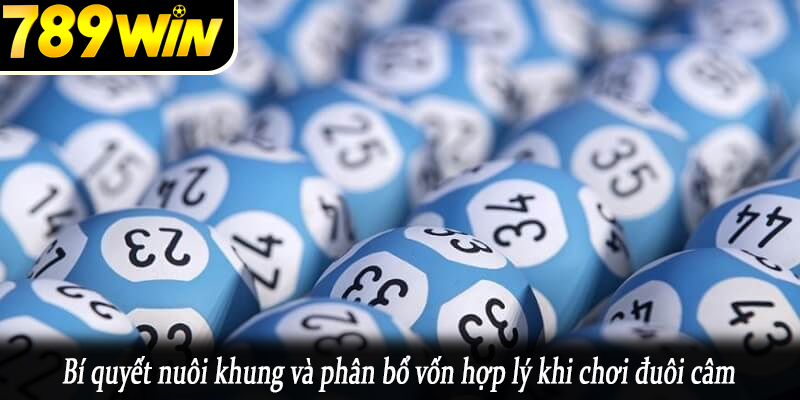 Bí quyết nuôi khung và phân bổ vốn hợp lý khi chơi đuôi câm
