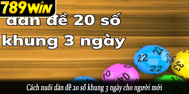 Cách nuôi dàn đề 20 số khung 3 ngày cho người mới