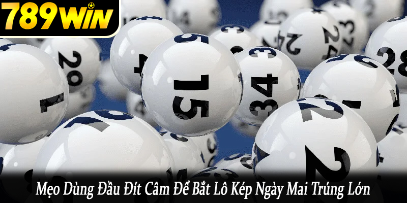 mẹo dùng đầu đít câm để bắt lô kép ngày mai