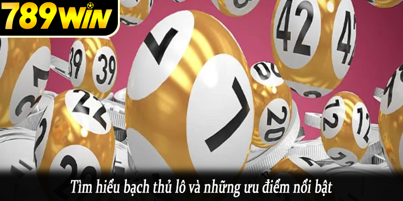 Tìm hiểu bạch thủ lô và những ưu điểm nổi bật