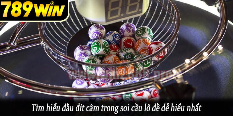 Tìm hiểu đầu đít câm trong soi cầu lô đề dễ hiểu nhất