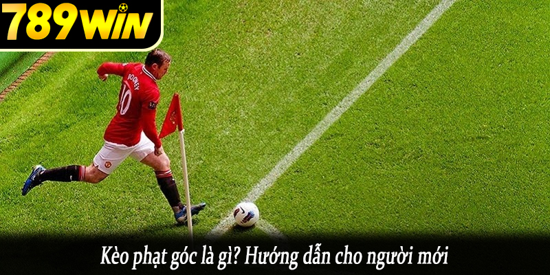 Kèo phạt góc là gì? Hướng dẫn cho người mới