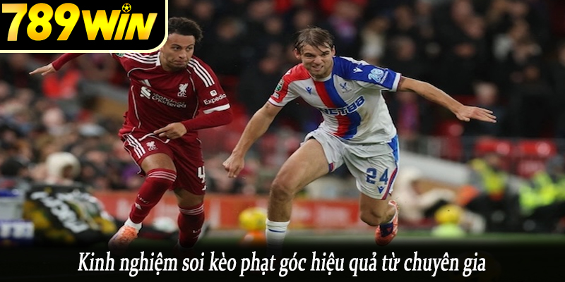 Kinh nghiệm soi kèo phạt góc hiệu quả từ chuyên gia