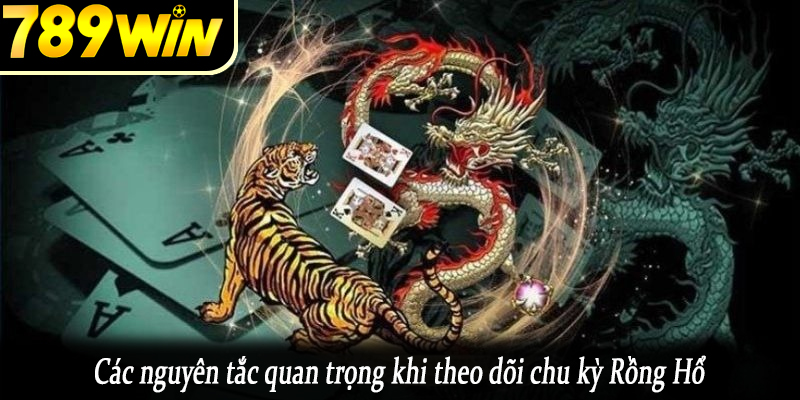 Các nguyên tắc quan trọng khi theo dõi chu kỳ Rồng Hổ