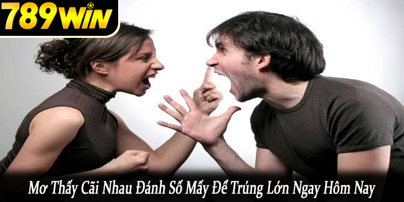 mơ thấy cãi nhau đánh số mấy