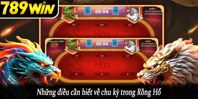 Những điều cần biết về chu kỳ trong Rồng Hổ