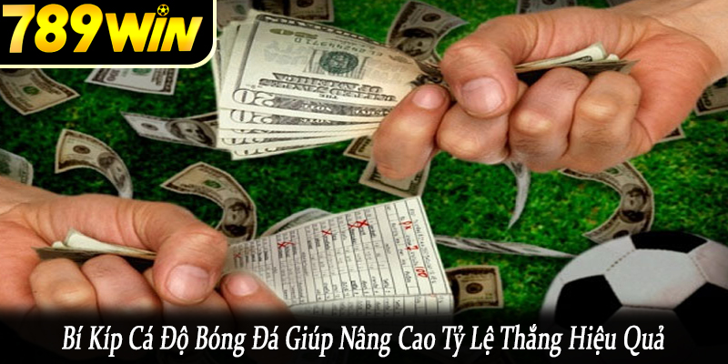 bí kíp cá độ bóng đá
