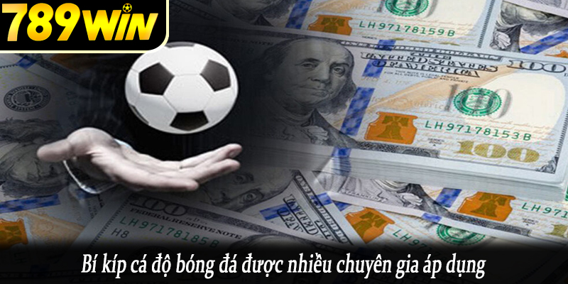Bí kíp cá độ bóng đá được nhiều chuyên gia áp dụng