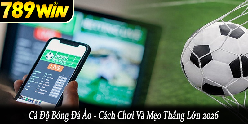 cá độ bóng đá ảo