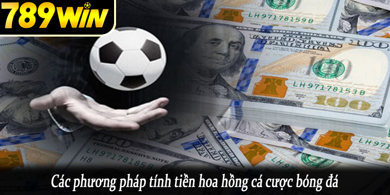 Các phương pháp tính tiền hoa hồng cá cược bóng đá