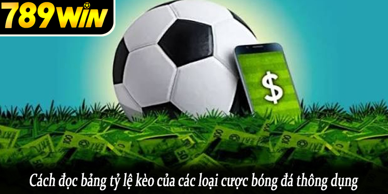 Cách đọc bảng tỷ lệ kèo của các loại cược bóng đá thông dụng