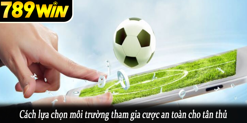 Cách lựa chọn môi trường tham gia cược an toàn cho tân thủ