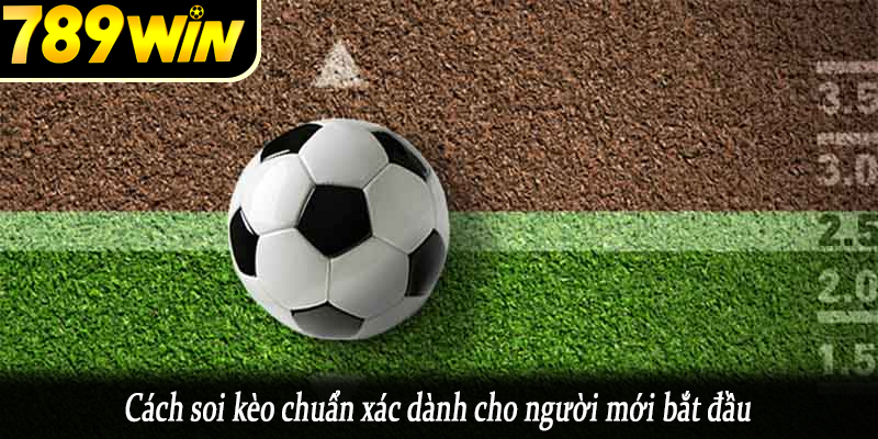Cách soi kèo chuẩn xác dành cho người mới bắt đầu