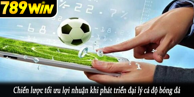 Chiến lược tối ưu lợi nhuận khi phát triển đại lý cá độ bóng đá