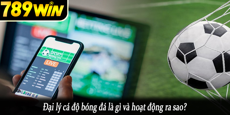Đại lý cá độ bóng đá là gì và hoạt động ra sao?