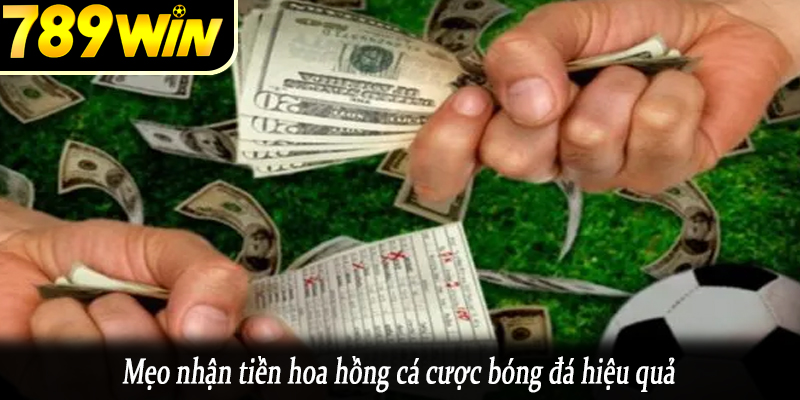 Mẹo nhận tiền hoa hồng cá cược bóng đá hiệu quả