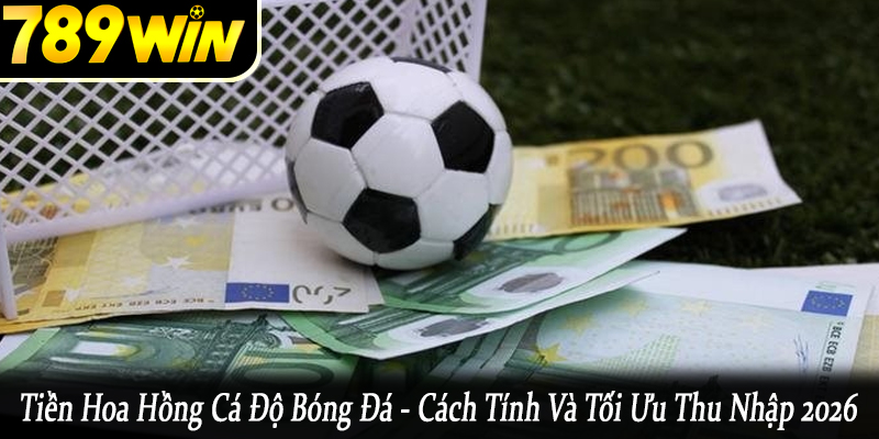 tiền hoa hồng cá độ bóng đá
