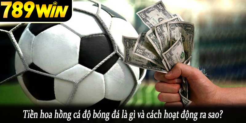 Tiền hoa hồng cá độ bóng đá là gì và cách hoạt động ra sao?
